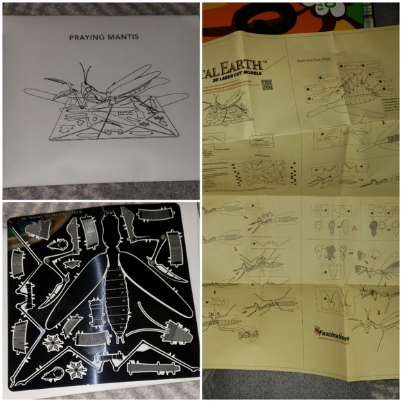 Metal Earth Insects - Picture 2 of 2